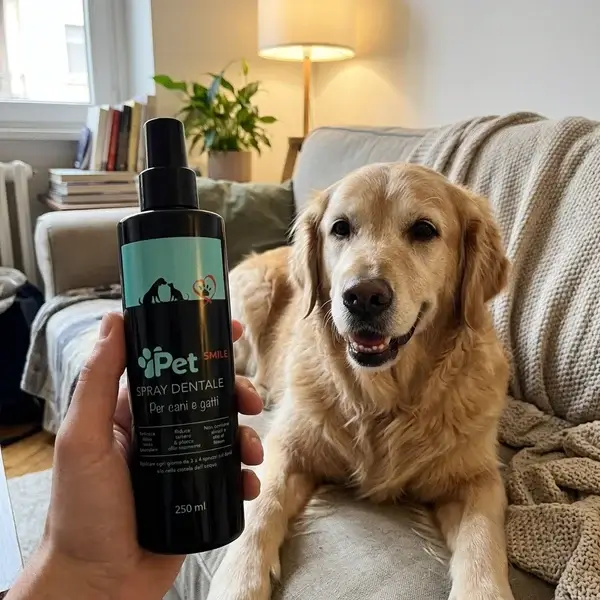 Φωτογραφία με ηλικιωμένη σκυλίτσα και το Pet Smile